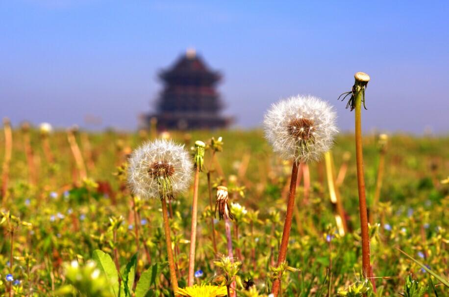 龙8半岛重元寺禅修 心装一个清凉的夏天